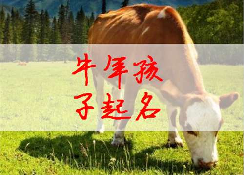 属牛熊姓宝宝起名大全