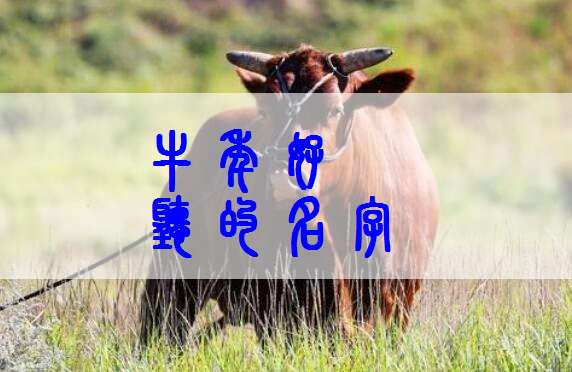 属牛姓萧宝宝起名大全
