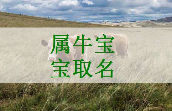 属牛汪姓宝宝起名大全