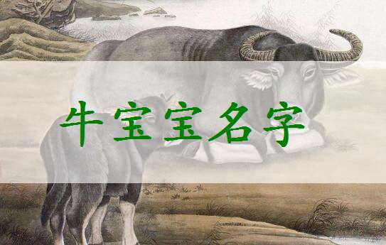 属牛姓段宝宝起名大全