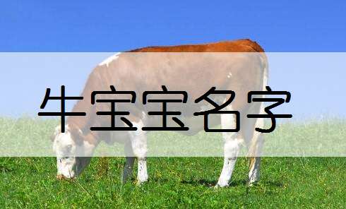 属牛宝宝起名大全