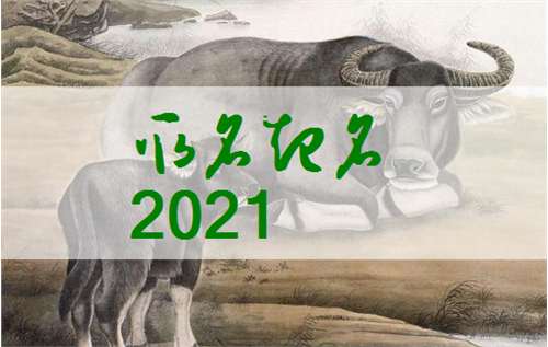 属牛宝宝起名大全