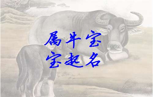 ţȫ