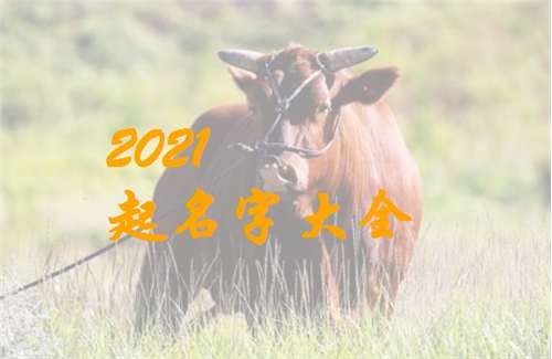 属牛宝宝起名大全