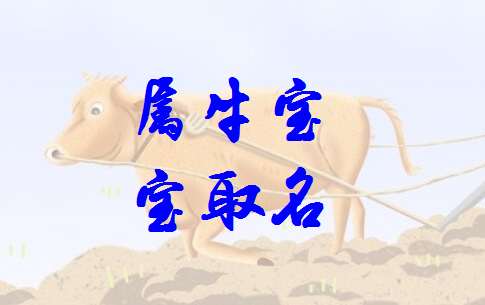 属牛宝宝起名大全