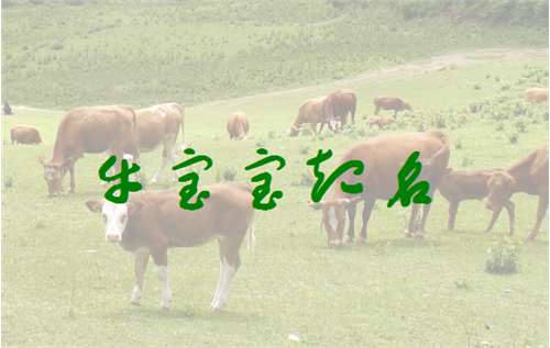 属牛杨姓宝宝起名大全