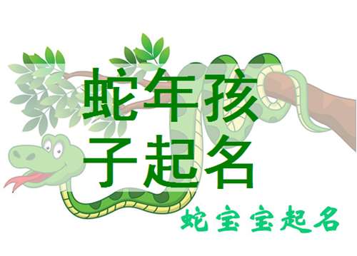 属蛇宝宝起名大全