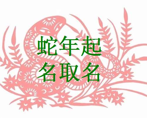 属蛇姓于宝宝起名大全