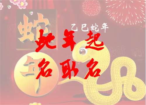 属蛇宝宝起名大全