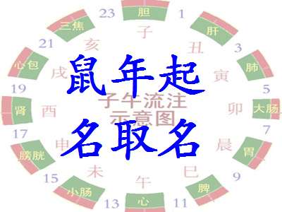 属鼠段姓宝宝起名大全