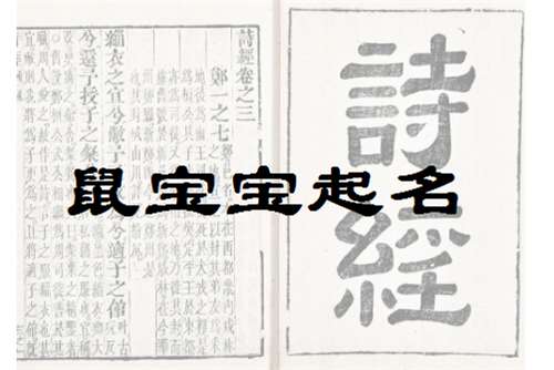 属鼠徐姓宝宝起名大全