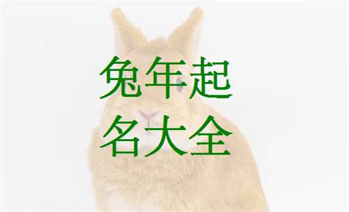 属兔姓任宝宝起名大全