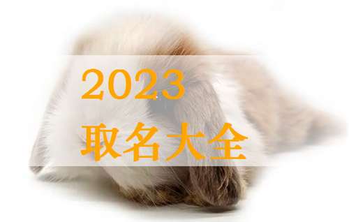 属兔姓蒋宝宝起名大全