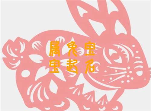 属兔袁姓宝宝起名大全