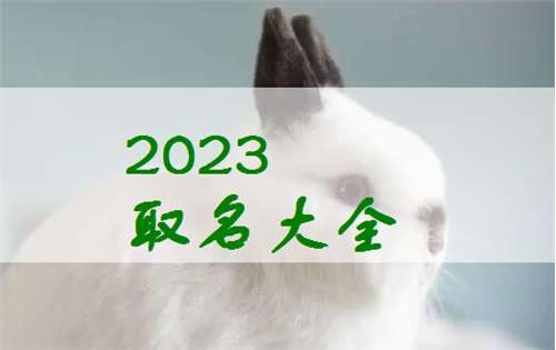 属兔宝宝起名大全